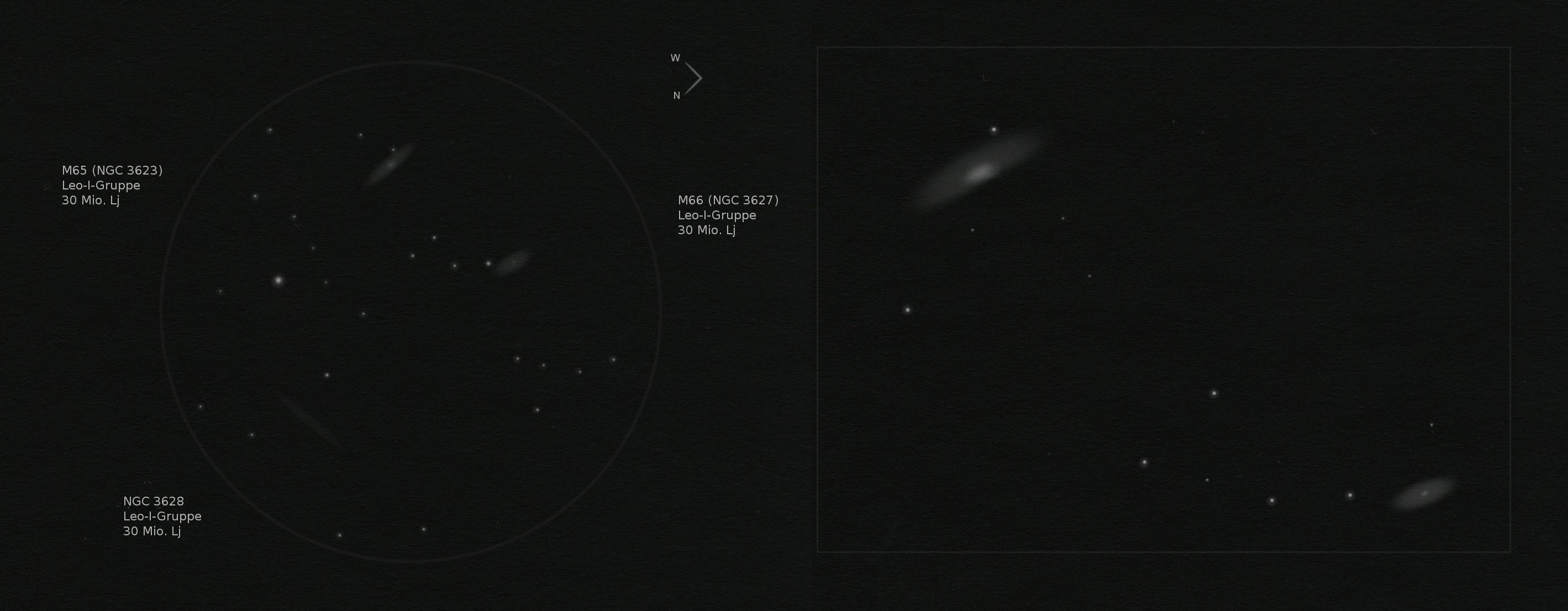 M66-Gruppe - Leo Triplet (Zeichnung)